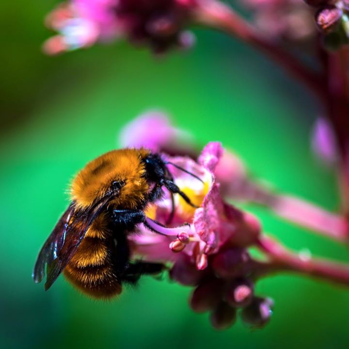 Fotografía de Nicolás Cueto.