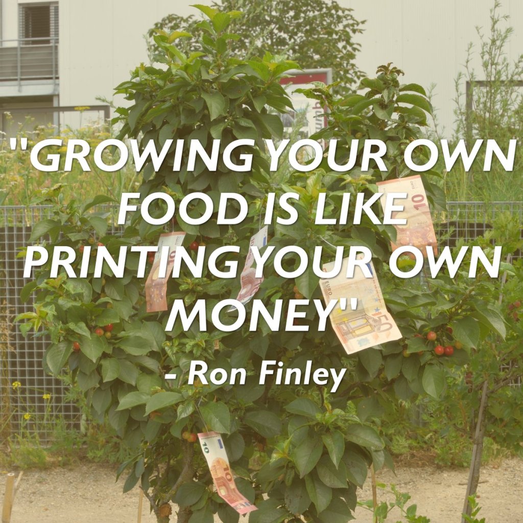 Mr. Finley, el Pandillero sedicioso de los&nbsp;jardines