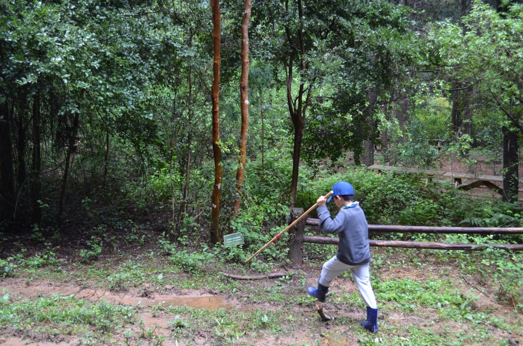 La curiosidad es la energía de los niños para aprender.