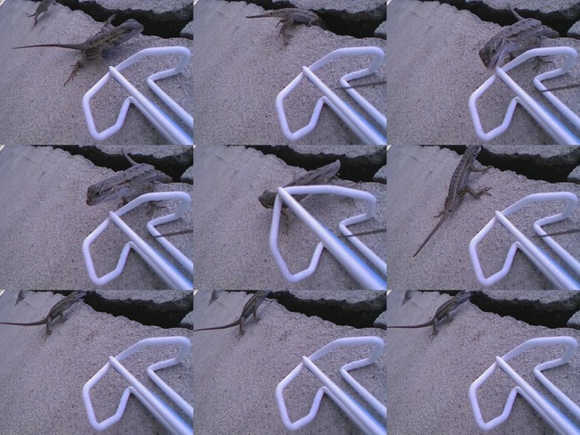 E01F8555-D235-4A30-8A43-9F17B614D0AA