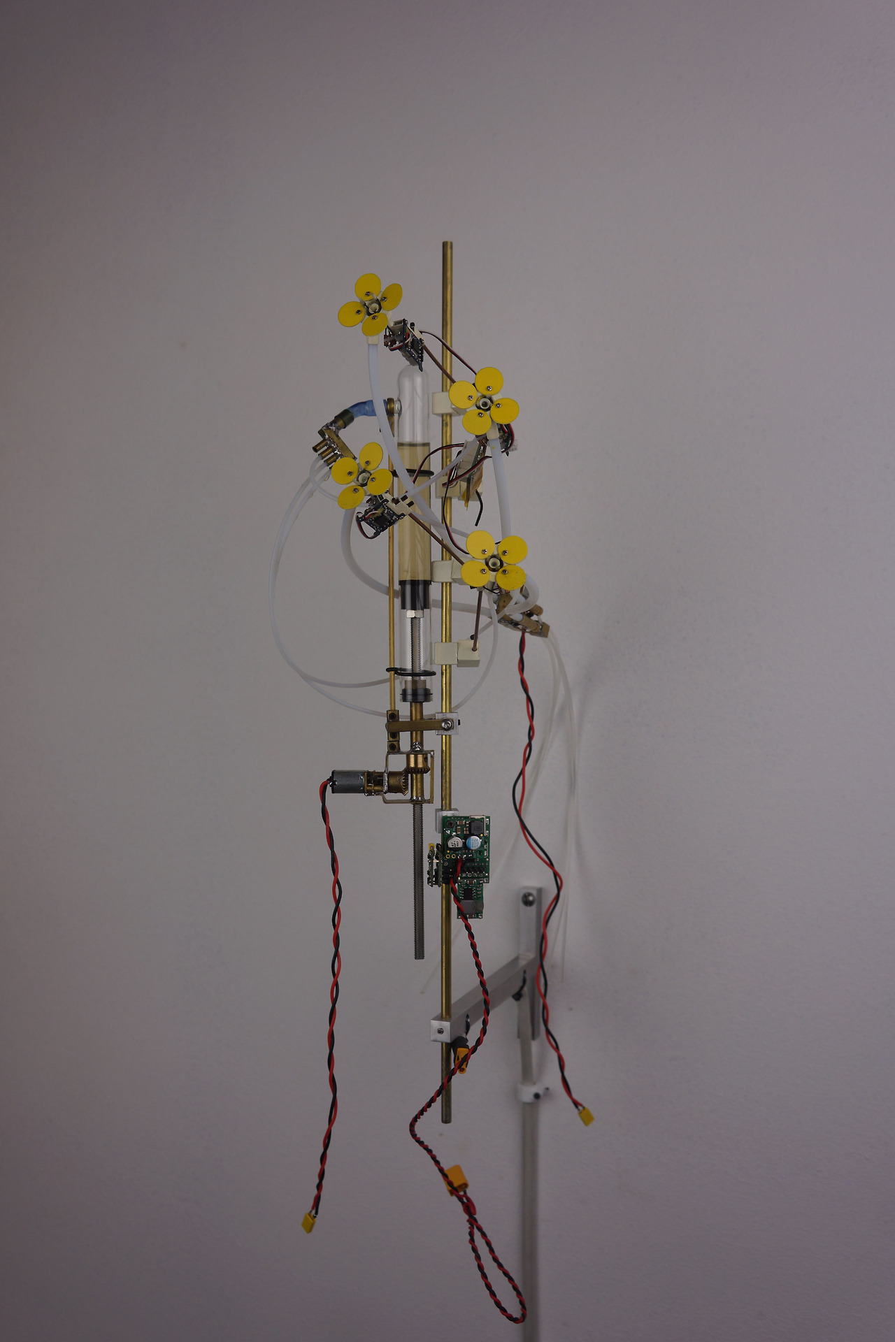 E365471D-7969-4755-AAEC-2C17CA98B19B