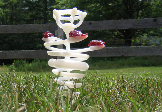 Bioart. Manifiesto de ecología.