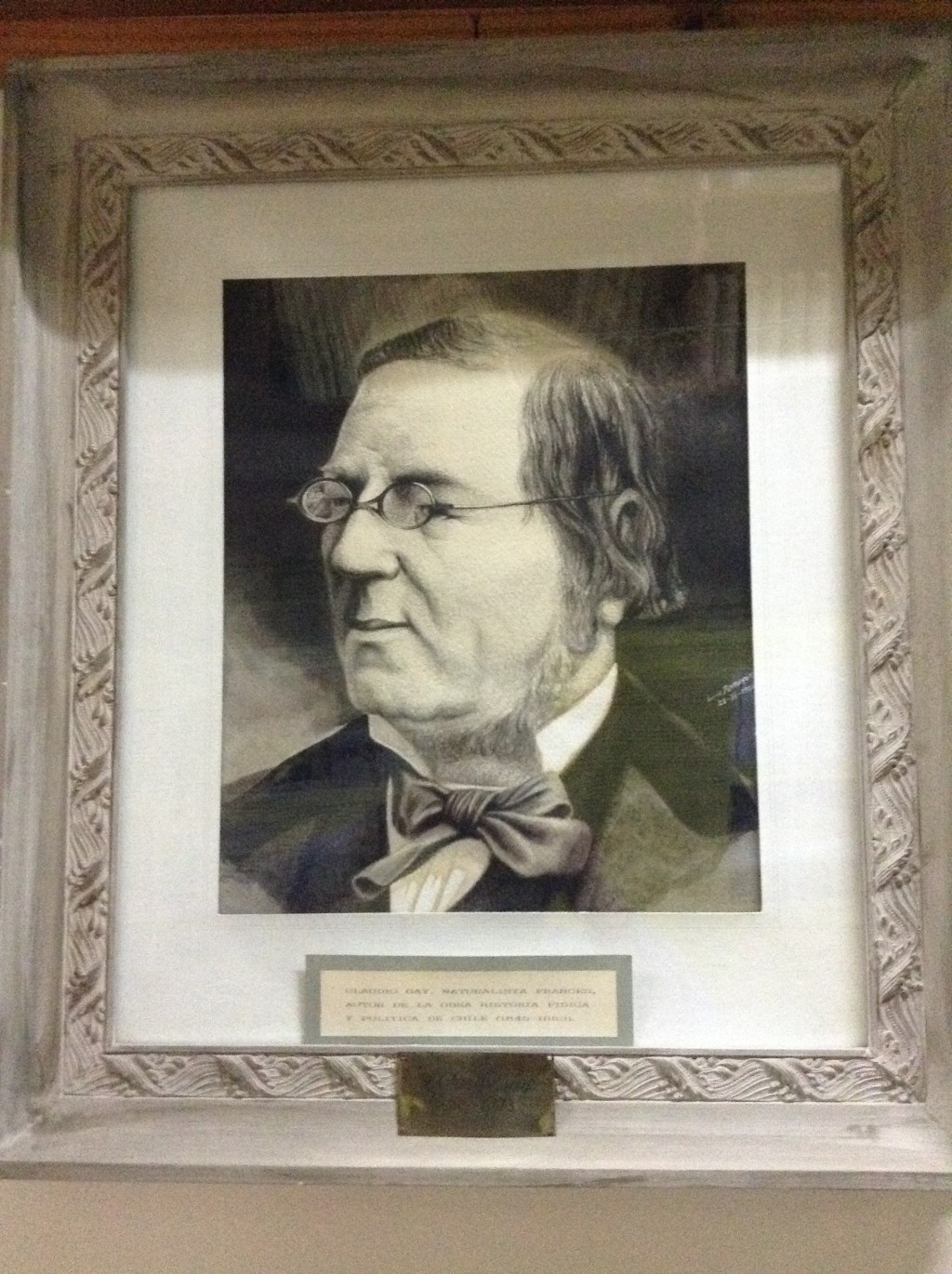 Claudio Gay. Naturalista