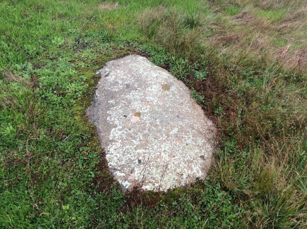 Caleta Chome. La última ballenera